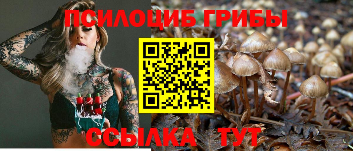 Alpha PVP СК   Вход с VPN  Меф   Экстази  Бошки Шишки  Москва  ГАШ  НБОМе 